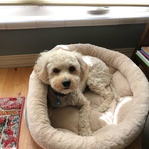 Meet your Posher, Mindy